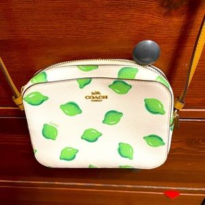 Coach Mini Camera Bag with Lime Print